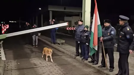 VIRALUL începutului de an: Un căţel a trecut primul frontiera Schengen. Poliţiştii de frontieră l-au aplaudat VIDEO