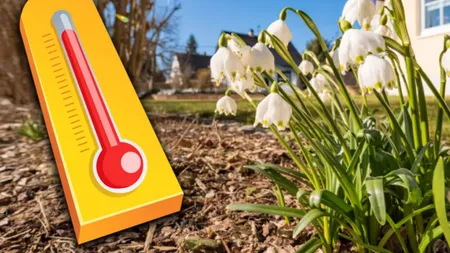Vine primăvara, inversiune termică accentuată! Cum va fi vremea până la jumătatea lunii februarie? Estimarea ANM