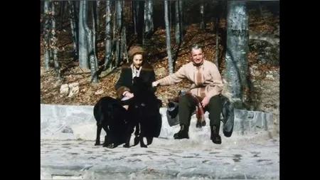 Ce meniu select aveau câinii familiei Ceaușescu în timp ce românii primeau alimente cu rația
