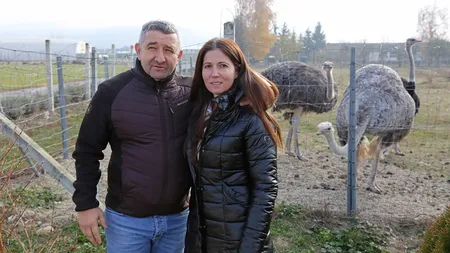 Micii de struț, mai căutați decât carnea de porc. Cât costă noua delicatesă a românilor, afacerea de familie are multe comenzi