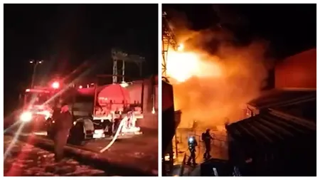 VIDEO 5000 de porci au ars de vii după ce flăcările au cuprins o fermă din județul Suceava