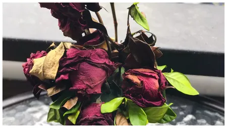Rețeta secretă prin care puteți „învia” orice floare. Trebuie să folosiți doar o jumătate de linguriță