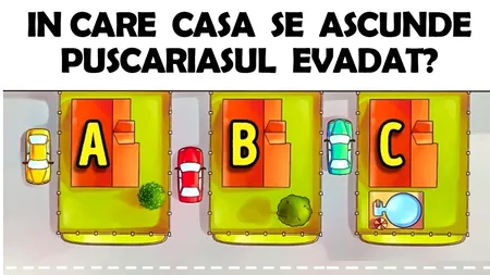 Testul IQ care demonstrează cât eşti de deştept. În care din cele trei case s-a ascuns un puşcăriaş care a evadat?