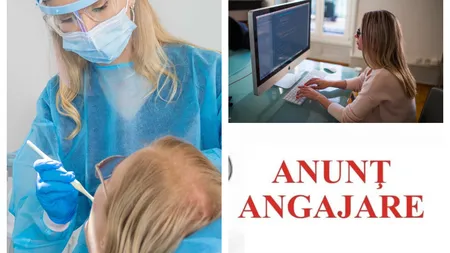 Jobul part-time la care visează toți românii. Muncești puțin și câștigi 20.000 de lei pe lună. Care sunt condițiile de angajare