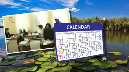 Încă o ZI LIBERĂ pentru bugetari în 2025. Guvernul a mărit numărul zilelor nelucrătoare. Apare o nouă minivacanță