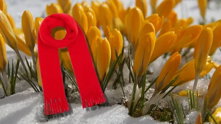 Vreme total atipică la final de ianuarie în România. Prognoza meteo 25 ianuarie