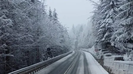 Prognoza meteo 23 ianuarie. Vreme anormală în România: ninsori în vest și nord, temperaturi de primăvară în restul țării