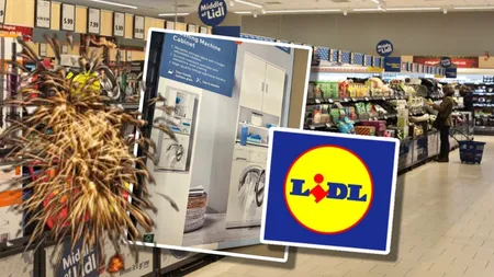 Produsul de la LIDL care va dispărea rapid de pe rafturi. Românii se grăbesc să prindă oferta începutului de an