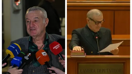 Câți bani încasează Gigi Becali de la Parlament. Patronul FCSB, șocat de salariul uriaș: ”Risipă de bani”