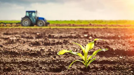 E oficial! S-a stabilit cât costă în 2025 să introduci un teren agricol în intravilan