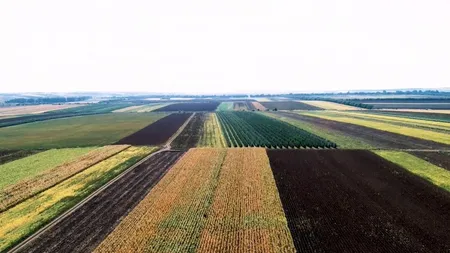 Cum poți lua bani de la stat dacă ești proprietarul unui teren. Decizia se aplică de anul acesta