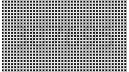Test de iluzie optică pentru cei cu ochii ageri. Descoperă numărul ascuns în desenul alb-negru
