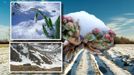 Meteorologii Accuweather au actualizat prognoza. Temperaturile de până la 20 de grade ne anulează orice speranță de a mai vedea zăpada în perioada următoare