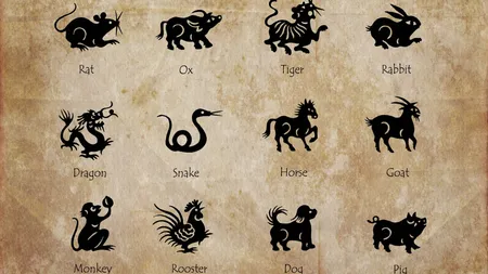 Zodiac chinezesc 11 ianuarie 2025. Tigrul primește o veste extraordinară, la care a visat de ceva vreme
