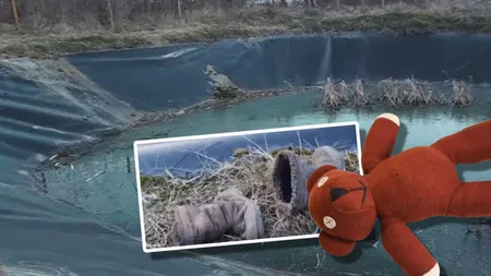 Două surori, de 2 şi 4 ani, au murit după ce au căzut într-un lac din Sighișoara. Cea mare a încercat să o scoată pe cea mică