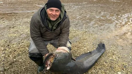 Monstrul de 50 de kilograme prins în undiţa unui pescar din România