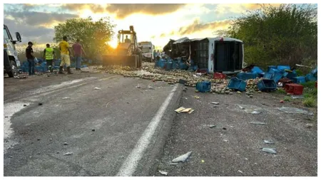 12 studenți morți în urma unui accident în Brazilia. Autobuzul în care se aflau a intrat din plin într-un camion