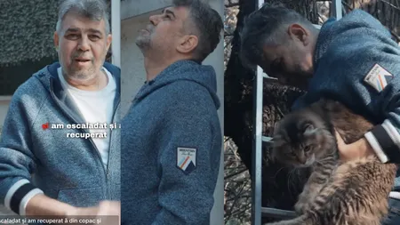 Cât costă hanoracul lui Ciolacu purtat ca să dea pisica de 1300 de euro din copac. Un român de rând câștigă banii ăștia într-un an