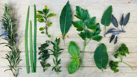 Condimentul plin de vitamine pe care orice gospodină ar trebui să-l aibă în casă. Reglează tensiunea arterială și previne anemia