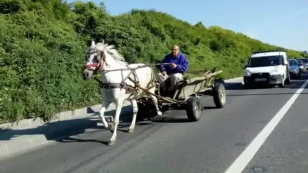 Cod Rutier 2025 Ce trebuie să ştie toţi şoferii, ai voie să depăşeşti o căruţă pe linie continuă? S-a schimbat legea!
