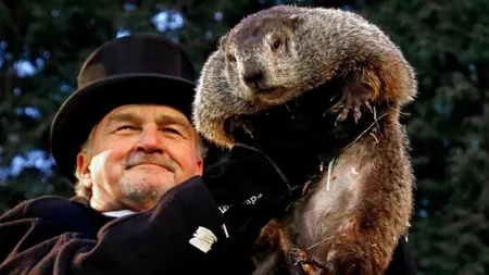 Celebra marmotă-meteorolog Phil îşi vede umbra, se anunţă încă 6 săptămâni de vreme de iarnă - VIDEO