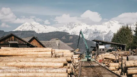 Falimentul unei cunoscute fabrici de cherestea din Austria. Datoriile totale ale fabricii se ridică la 1,4 milioane de euro