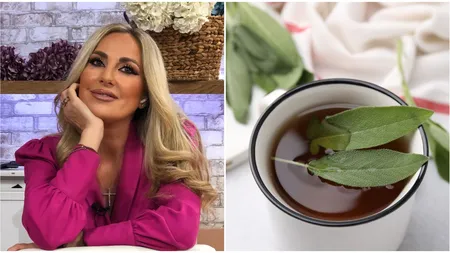 Ceaiul din frunze de dafin, beneficii uimitoare pentru organism. Florentina Opriș: 