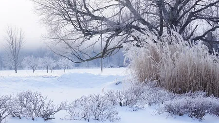 Prognoza meteo 23 februarie. Nu scăpăm de ger nici zilele următoare. Unde vor fi -20 de grade