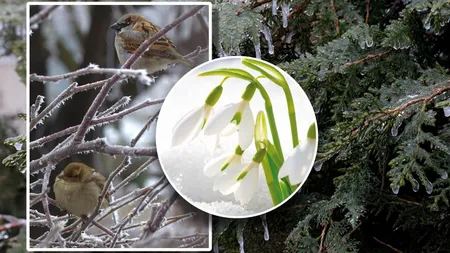 Prognoza meteo 14 februarie. Vremea se încălzește de Ziua Îndrăgostiților, apoi revine gerul
