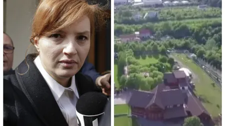 Așa arată vila de 1,5 milioane de euro a Ioanei Băsescu. Are piscină și garaj pentru șalupe