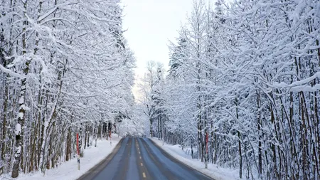 METEO. După viscol, temperaturile urcă până la 12 grade. Când se schimbă vremea radical