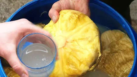 Cura cu zeamă de varză murată topeşte kilogramele şi întăreşte imunitatea. Cum trebuie consumată licoarea ca să scapi de problemele de tranzit intestinal