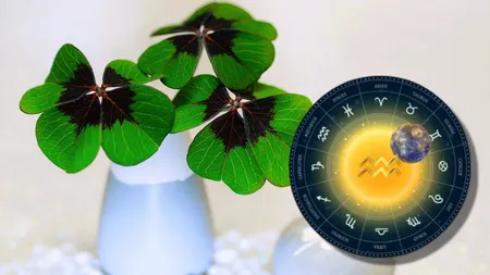 5 zodii care funcționează ca un talisman natural pentru cei din jur. Sunt bune de pus pe rană