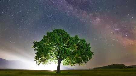 Cea mai NOROCOASĂ zi a lunii pentru fiecare ZODIE în luna MARTIE 2025