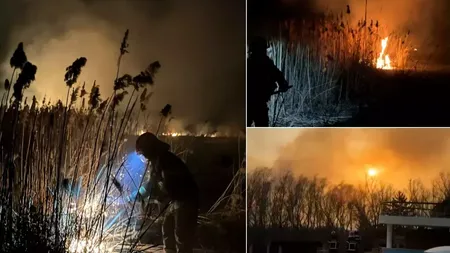 Incendiu de proporții în Delta Dunării. Flăcările s-au extins pe o suprafaţă de 50 de hectare