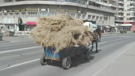 Codul Rutier 2025: Ce spune legea despre depășirea căruţei pe linia continuă