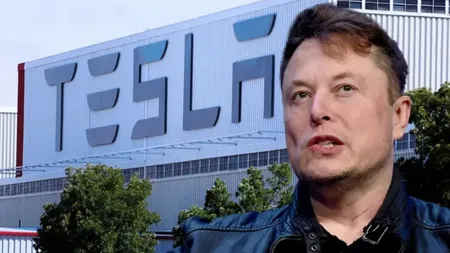 Un român l-a învins pe Elon Musk! A câștigat depăgubiri substanțiale pentru hărțuire de la Tesla România