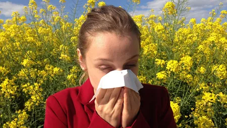 7 moduri sa combaţi alergiile de primăvară. De ce e bine să-ţi speli părul în fiecare zi şi să bei mult ceai verde