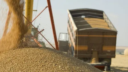 Exporturile de cereale ale UE, în scădere puternică. România a fost cel mai mare exportator