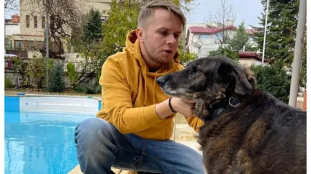 Codin Maticiuc nu și-a găsit nici acum câinele. Actorul a mărit recompensa: ”Sunt din ce în ce mai disperat”