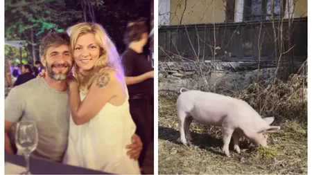 Dragoș Bucur a pus-o pe purcica Betty a Danei Nălbaru la muncă în curte. L-a scăpat pe actor de o mare problemă
