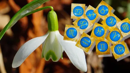 Horoscop 11 martie 2025. Nu abuzaţi de alcool şi de mâncare nesănatoasă, împrospătează-ţi garderoba, schimbă-ţi coafura, redefineşte-ti perspectiva asupra vieţii