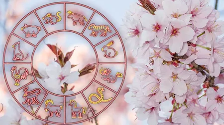 Horoscop chinezesc joi, 20 martie 2025. Zodia care fuge de responsabilități