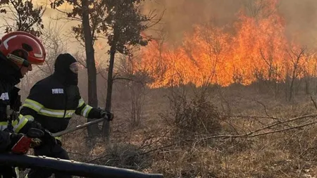 VIDEO Incendii de vegetație în șase județe, o femeie a fost găsită carbonizată! Raed Arafat cere ajutor preoților