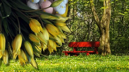 PROGNOZA METEO. Duşuri reci, vremea suferă oscilaţii de la o zi la alta. Aversele nu ocolesc Bucureştiul