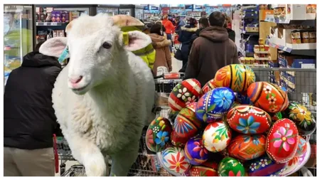 Măsura ANSVSA care aruncă în aer preţul cotletului de miel de Paşte 2025