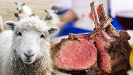Ce se întâmplă cu mielul autohton de Paște, din cauza focarului de pestă. Cât va ajunge să coste kilogramul de carne în 2025