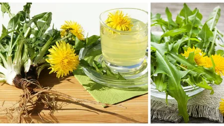 Detoxul de primăvară. 5 rețete pe bază de păpădie pentru un corp revitalizat