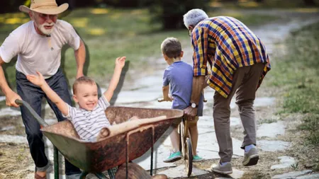 Apare un nou tip de pensie. Ce este 
