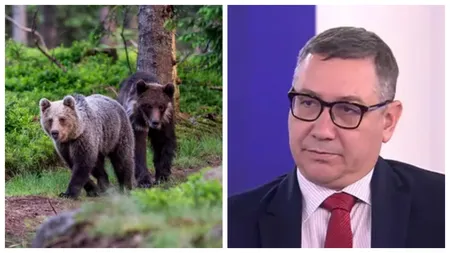 EXCLUSIV Victor Ponta, revoltat după ce șeful Salvamont Predeal a fost atacat de un urs: „Oamenii au dreptate să spună că acest sistem nu îi protejează”